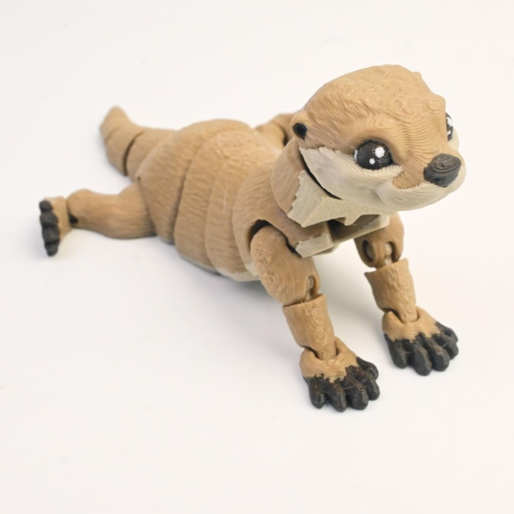 Cute 3D Printed Otter 3D Anima - 3D Printing Fidget Toys avis et prix